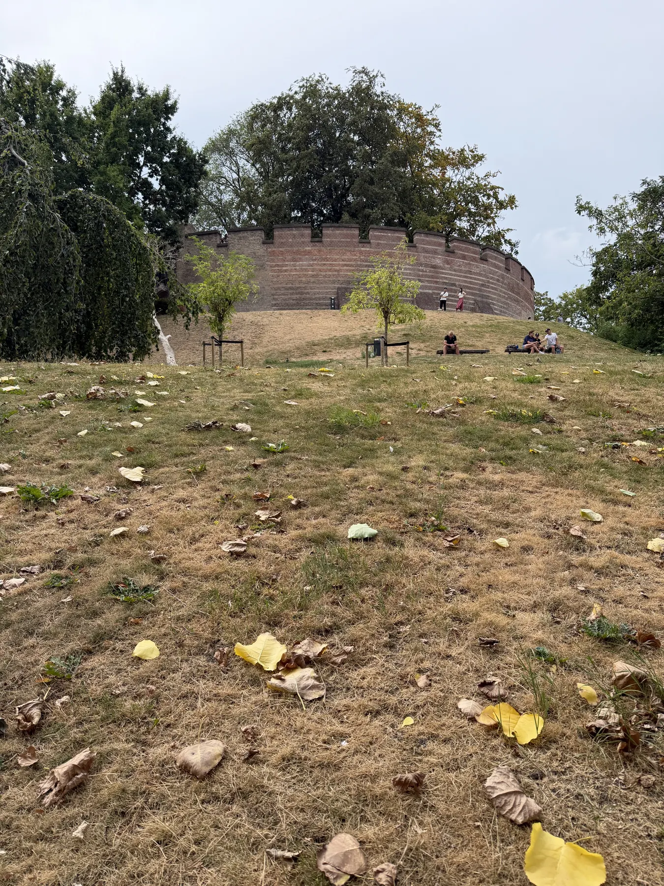 De ringmuur van De Burcht boven het grasveld van de kunstmatige heuvel in Leiden De ringmuur van De Burcht boven het grasveld van de kunstmatige heuvel in Leiden