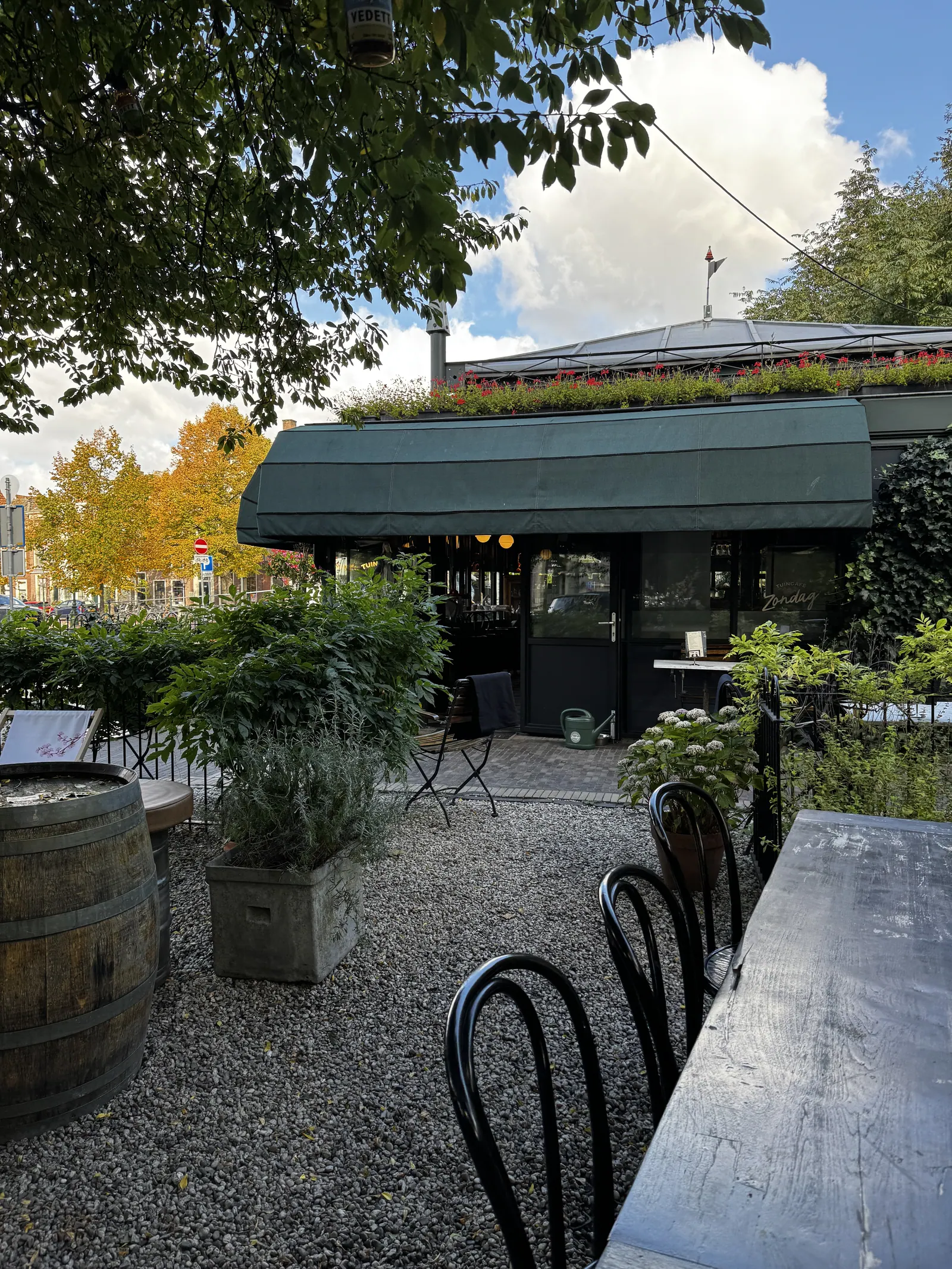 Terrasse verdoyante devant un café à Leyde