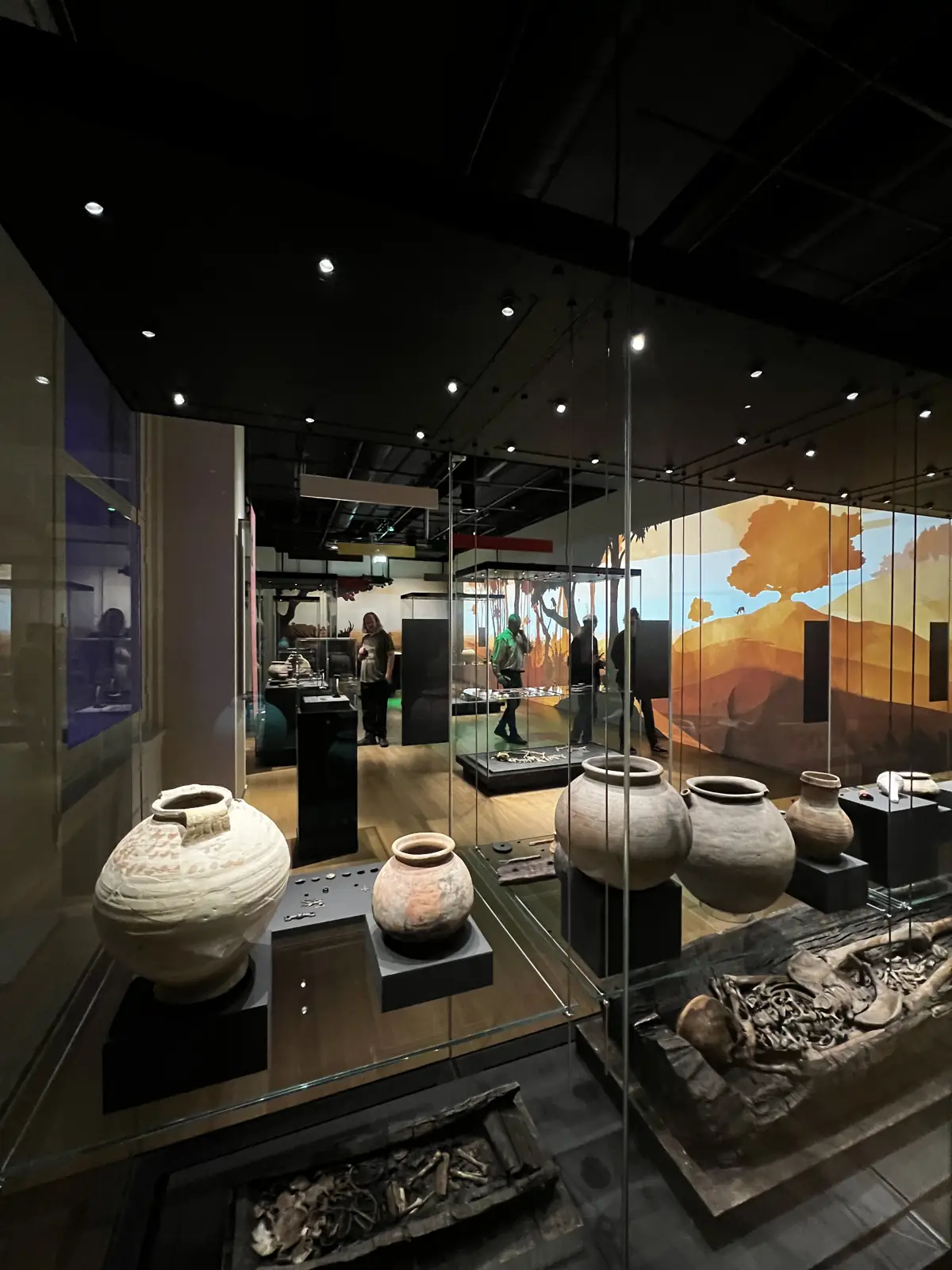 Vitrines de poteries et vases antiques au Rijksmuseum van Oudheden à Leyde